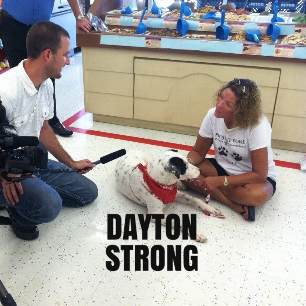 Meet your Posher, Tonni